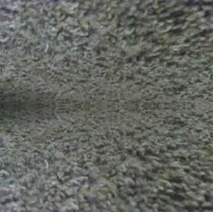 Meet your Posher, Arianna